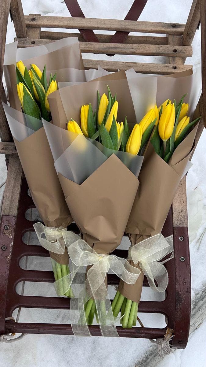 Tulipan x6
