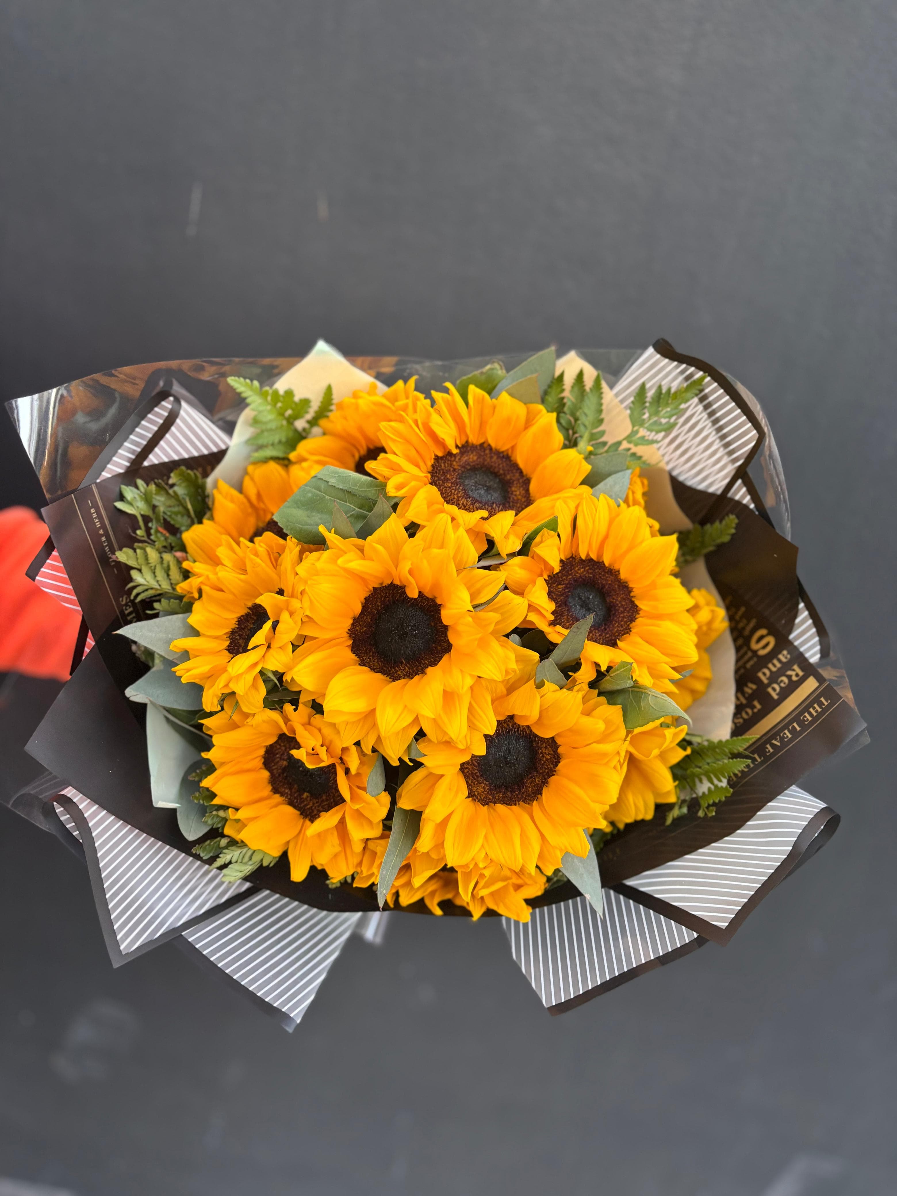 Girasol