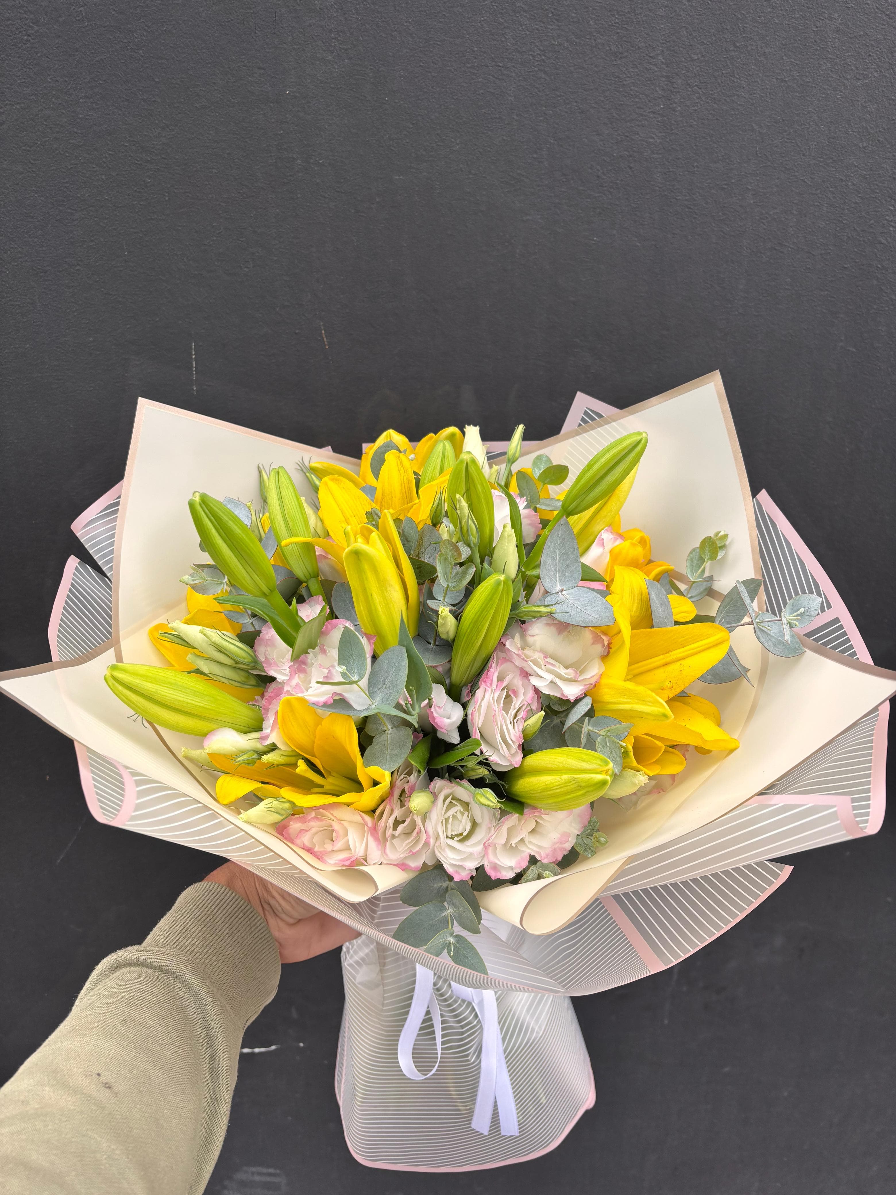Lilium XL